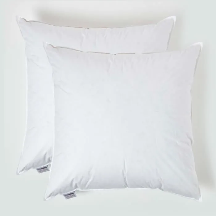 Lot De 2 Oreillers 65x65cm - Plumes De Canard - Homescapes