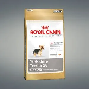 Royal Canin Croquettes Yorkshire Terrier Junior - 1,5 kg