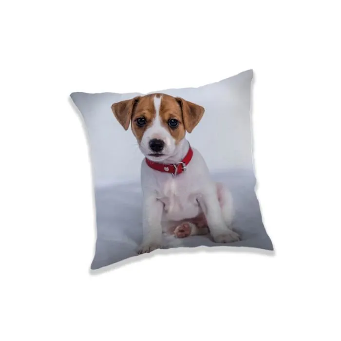 Coussin Décoratif Chien 40*40 Cm