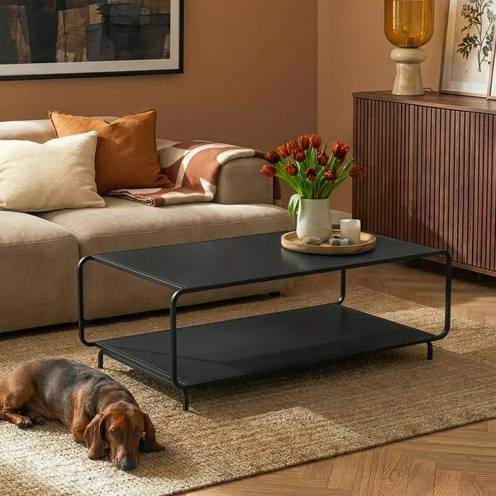 Table basse Færder acier 115 x 50 x 45 cm noir mat en.casa