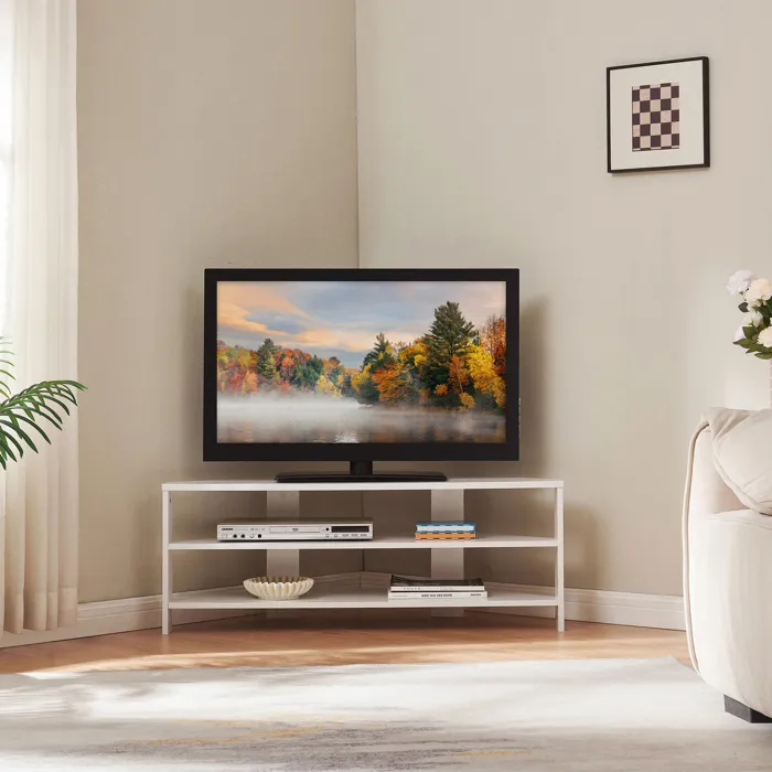 Meuble TV Berg 110 x 36 x 42 cm blanc en.casa