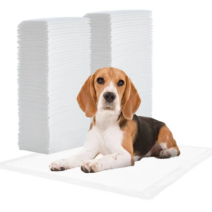 Iris Ohyama, Tapis d'éducation et dressage, pour chiens et chiots de 15 kg maximum, NS-100SQW, Blanc