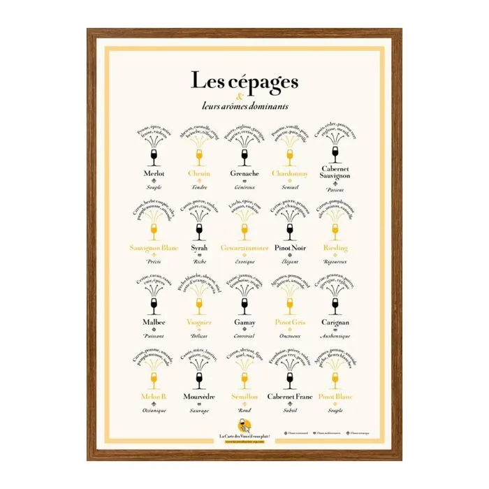 Affiche 50x70 cm - Les Cépages et leurs arômes dominants - LA CARTE DES VINS SVP