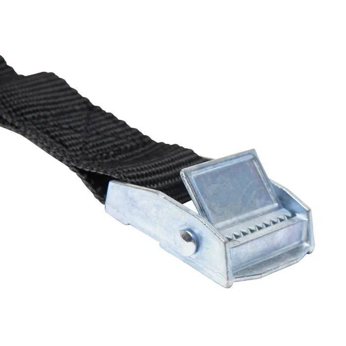 Sangle de serrage 2,5m x 25mm 2 pcs WERKA PRO