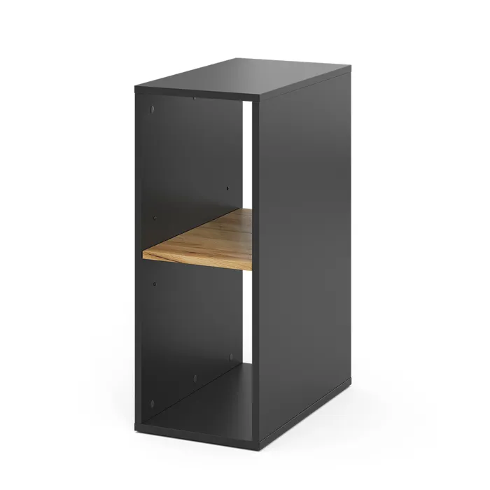 Vicco Armoire pour PC Anthracite/chêne doré 28.5x50cm,2 compartiments