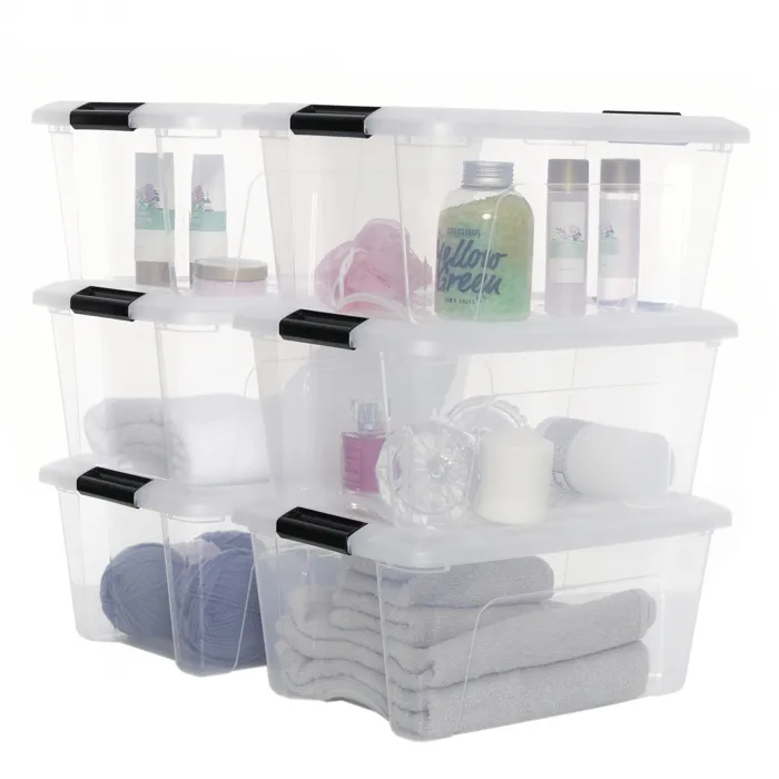 Iris Ohyama, Boites de Rangement Plastique avec Couvercle, 15L, Lotde 6, Transparent, DDNTB-15